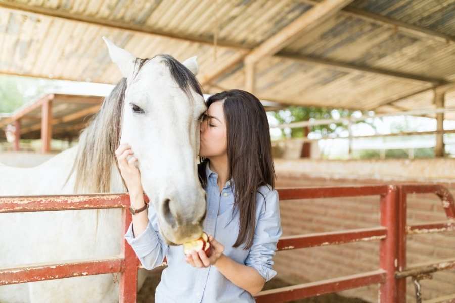 equine therapy can complement other therapies to overcome things like anxiety and trauma.